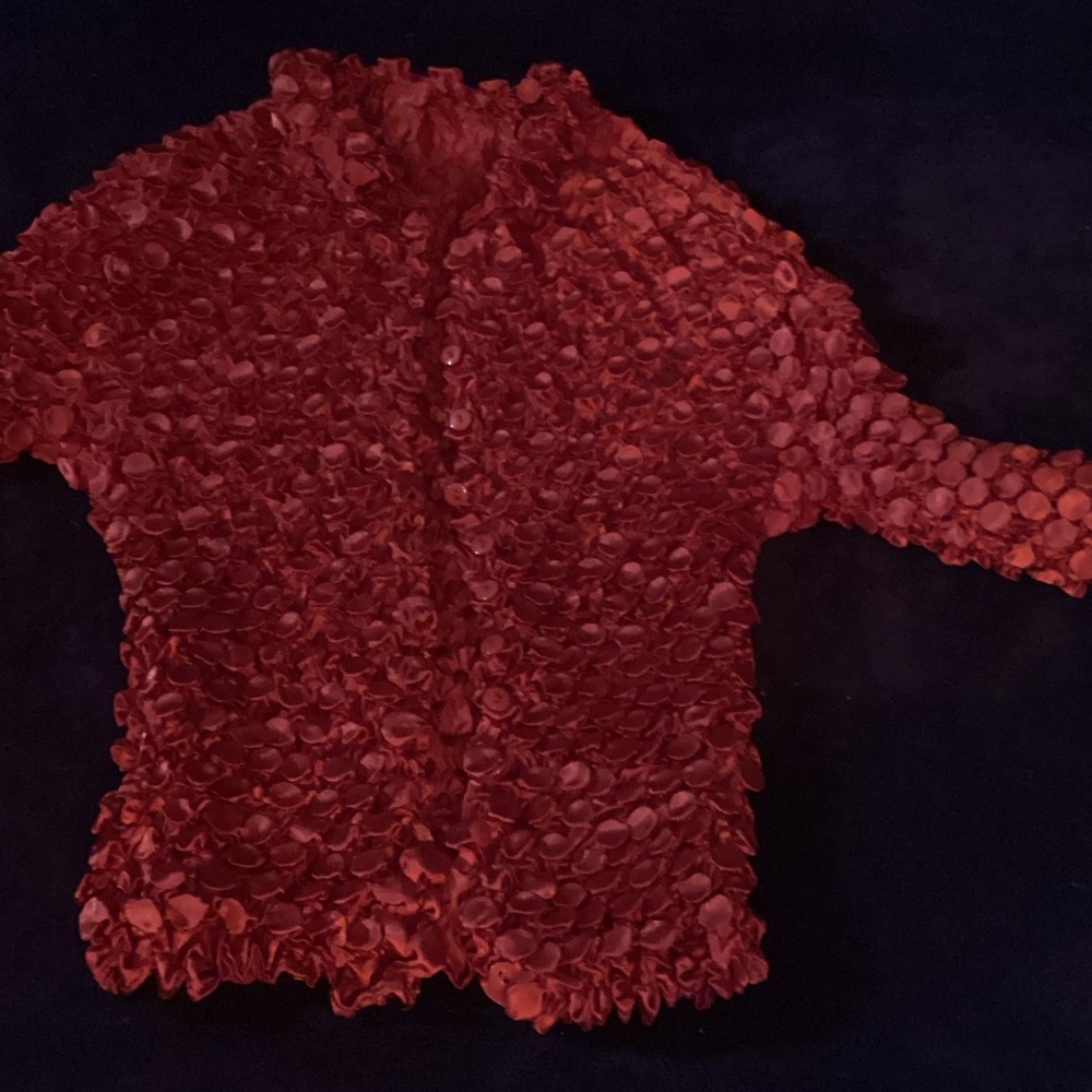 Source Unknown Red Textured Blouse - image 2